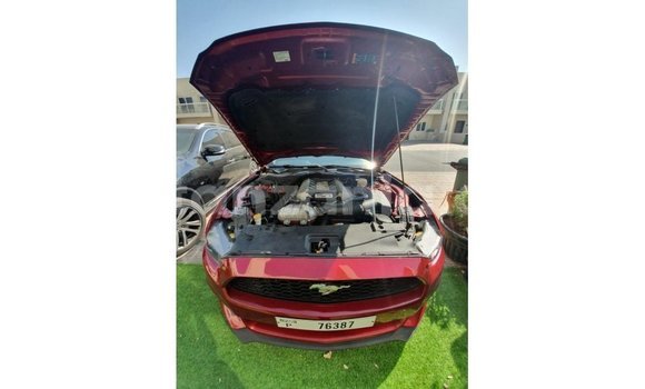Buy Import Ford Mustang Red Car in Import - Dubai in Arusha Buy Import Ford Mustang Red Car in Import - Dubai in Arusha