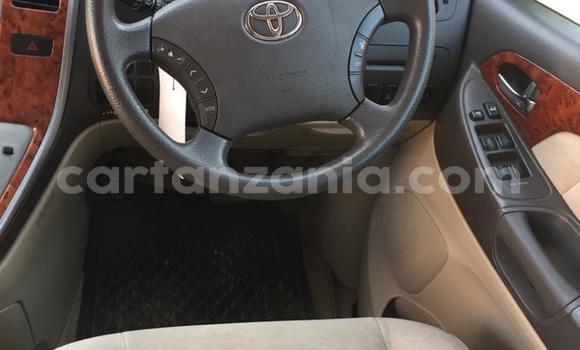 Buy Used Toyota Alphard Silver Car in Arusha in Arusha