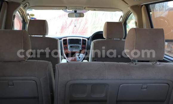 Buy Used Toyota Alphard Silver Car in Arusha in Arusha Buy Used Toyota Alphard Silver Car in Arusha in Arusha