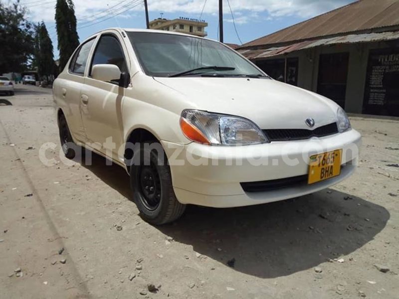 Big with watermark 39872909 432053903970212 249987514901725184 n