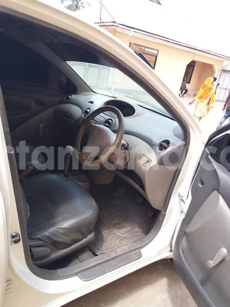 Big with watermark 39616323 432053627303573 4154531043765911552 n