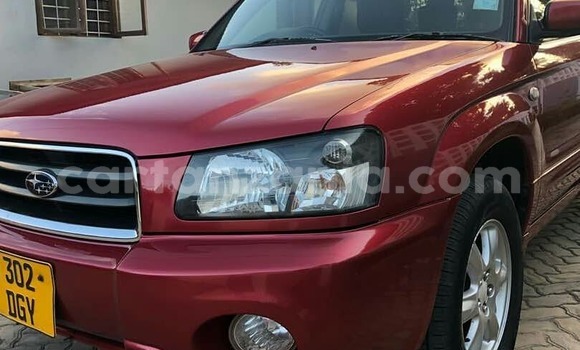 Buy Used Subaru Forester Red Car in Dar es Salaam in Dar es Salaam