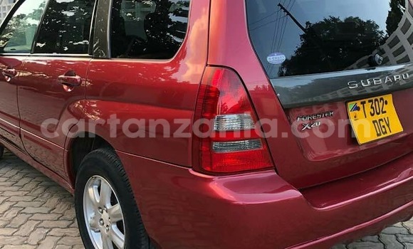 Buy Used Subaru Forester Red Car in Dar es Salaam in Dar es Salaam Buy Used Subaru Forester Red Car in Dar es Salaam in Dar es Salaam