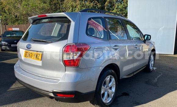 Nunua Ilio tumika Subaru Forester Nyingine Gari ndani ya Dar es Salaam nchini Dar es Salaam Nunua Ilio tumika Subaru Forester Nyingine Gari ndani ya Dar es Salaam nchini Dar es Salaam