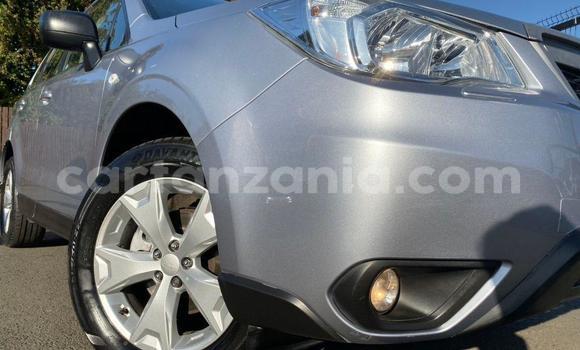 Nunua Ilio tumika Subaru Forester Nyingine Gari ndani ya Dar es Salaam nchini Dar es Salaam Nunua Ilio tumika Subaru Forester Nyingine Gari ndani ya Dar es Salaam nchini Dar es Salaam
