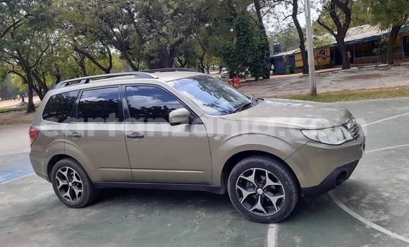 Buy Used Subaru Forester Brown Car in Dar es Salaam in Dar es Salaam Buy Used Subaru Forester Brown Car in Dar es Salaam in Dar es Salaam