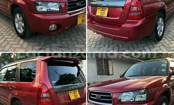Nunua Ilio tumika Subaru Forester Nyekundu Gari ndani ya Dar es Salaam nchini Dar es Salaam Nunua Ilio tumika Subaru Forester Nyekundu Gari ndani ya Dar es Salaam nchini Dar es Salaam