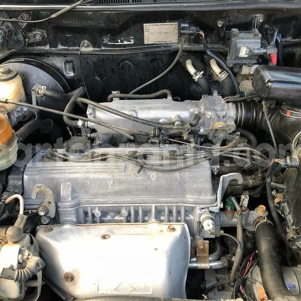 Big with watermark 41013079 2106339049400575 729636465947967488 n