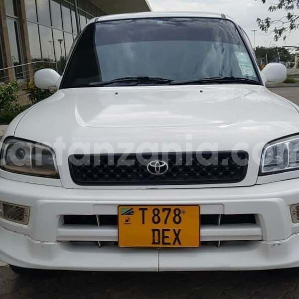 Big with watermark 40628697 2102671469767333 4858957615054454784 n