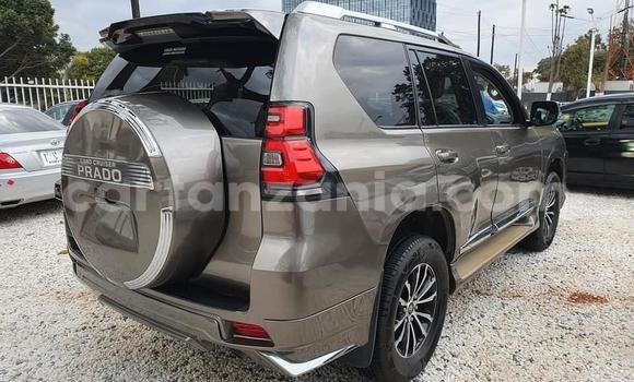 Buy New Toyota Land Cruiser Prado Other Car in Dar es Salaam in Dar es Salaam Buy New Toyota Land Cruiser Prado Other Car in Dar es Salaam in Dar es Salaam