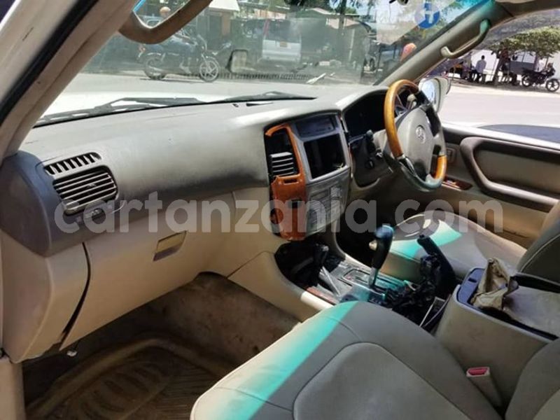 Big with watermark 41719232 2167068330032953 2847121837559644160 n