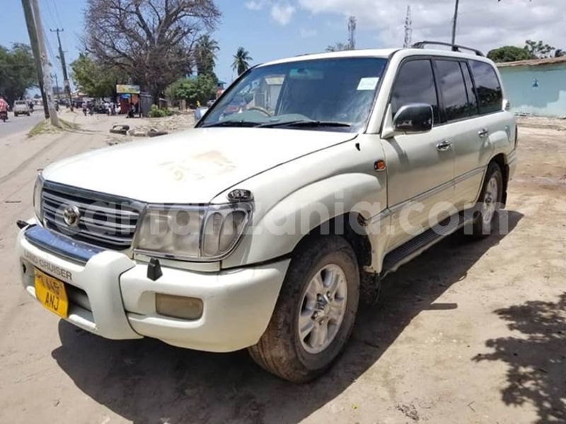 Big with watermark 41669248 2167068366699616 7105270977386250240 n