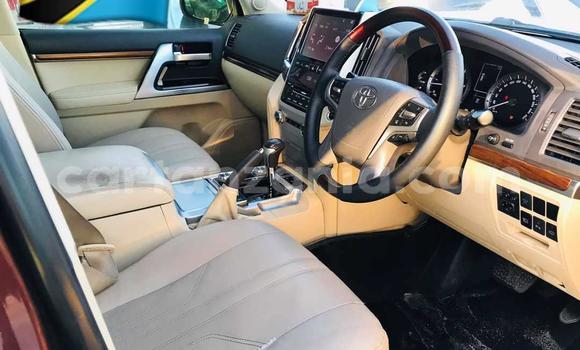 Buy Used Toyota Land Cruiser Other Car in Dar es Salaam in Dar es Salaam Buy Used Toyota Land Cruiser Other Car in Dar es Salaam in Dar es Salaam