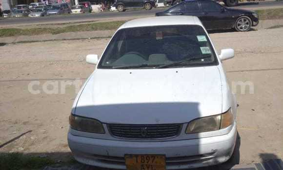 Buy Used Toyota Corolla White Car in Dar es Salaam in Dar es Salaam Buy Used Toyota Corolla White Car in Dar es Salaam in Dar es Salaam