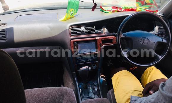 Nunua Ilio tumika Toyota Cresta Nyekundu Gari ndani ya Dar es Salaam nchini Dar es Salaam Nunua Ilio tumika Toyota Cresta Nyekundu Gari ndani ya Dar es Salaam nchini Dar es Salaam