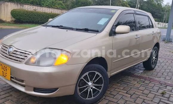 Buy Used Toyota Allex Beige Car in Dar es Salaam in Dar es Salaam