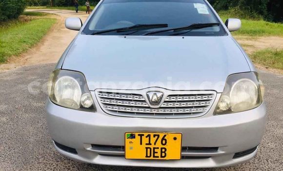 Buy Used Toyota Runx Silver Car in Dar es Salaam in Dar es Salaam
