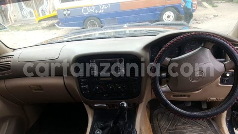 Big with watermark 43130973 170095370581444 1467664134056181760 o