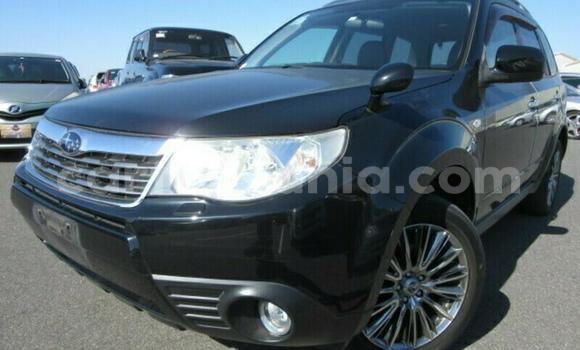 Buy Used Subaru Forester Other Car in Dar es Salaam in Dar es Salaam Buy Used Subaru Forester Other Car in Dar es Salaam in Dar es Salaam