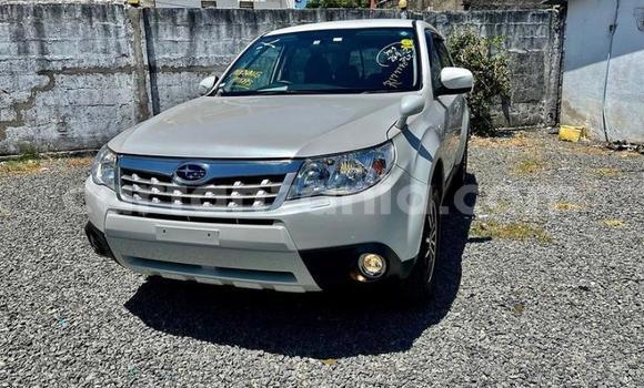 Nunua Ilio tumika Subaru Forester Nyeupe Gari ndani ya Dar es Salaam nchini Dar es Salaam Nunua Ilio tumika Subaru Forester Nyeupe Gari ndani ya Dar es Salaam nchini Dar es Salaam