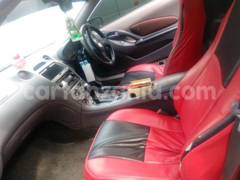 Big with watermark 44384175 2265066170254627 660623857694015488 n