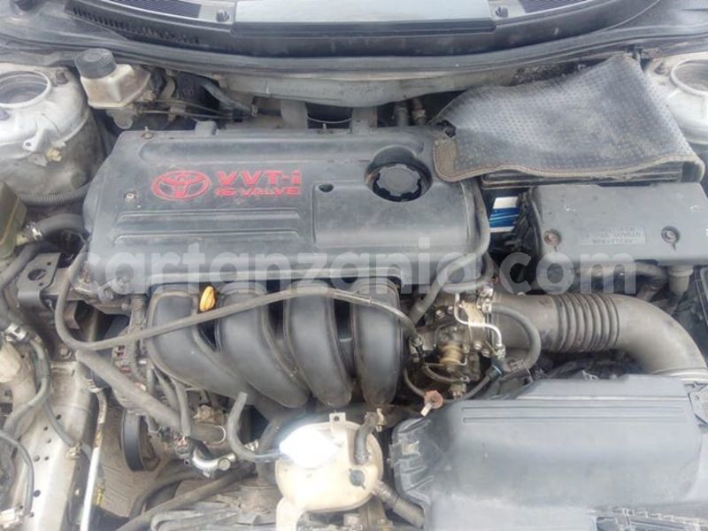 Big with watermark 44315162 2265066150254629 6119229160050130944 n