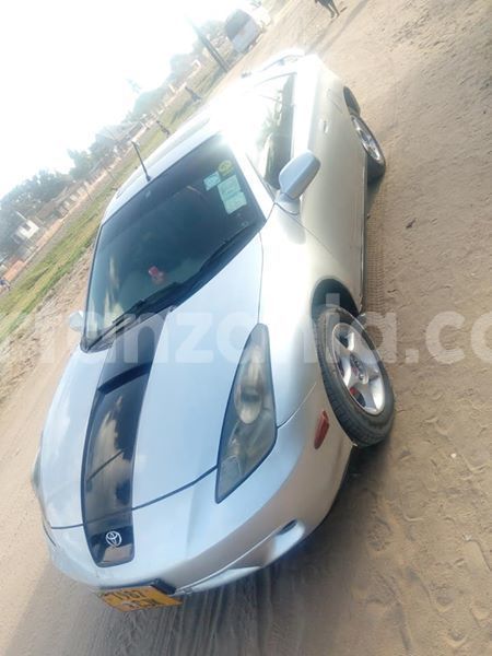 Big with watermark 44387217 2265065993587978 3929420988759932928 n