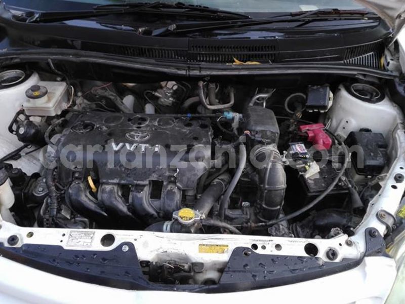 Big with watermark 44313091 158434008440612 7200230037126119424 n