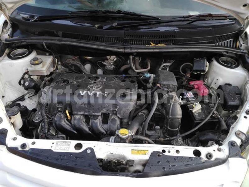 Big with watermark 44295933 158433878440625 2958941242391527424 n