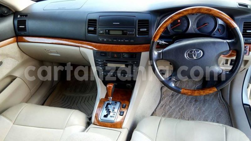 Big with watermark 44378439 1874361712648774 4382980818096619520 o