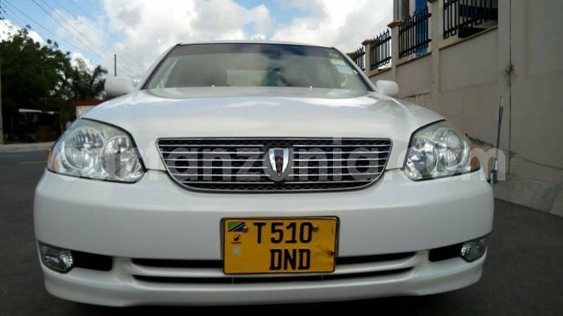 Big with watermark 44322726 1874361559315456 7969483929952452608 o