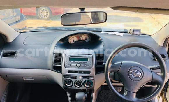 Buy Import Toyota Vios Other Car in Dar es Salaam in Dar es Salaam Buy Import Toyota Vios Other Car in Dar es Salaam in Dar es Salaam