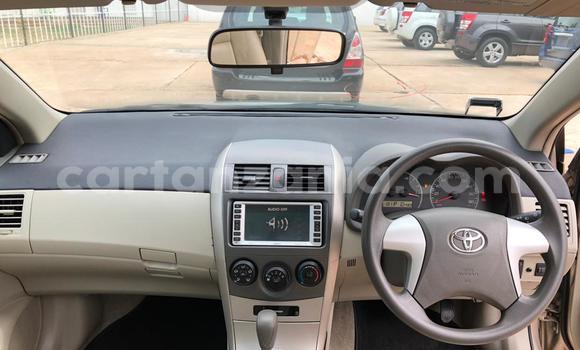 Buy Import Toyota Axio Beige Car in Dar es Salaam in Dar es Salaam Buy Import Toyota Axio Beige Car in Dar es Salaam in Dar es Salaam