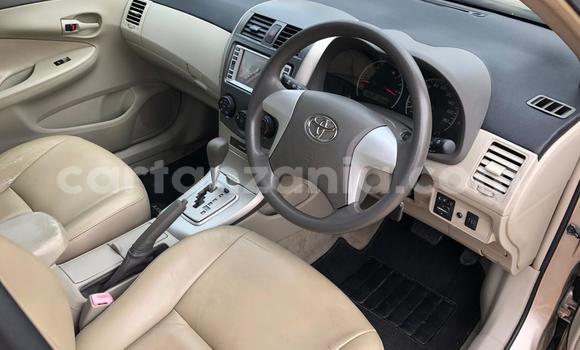 Buy Import Toyota Axio Beige Car in Dar es Salaam in Dar es Salaam Buy Import Toyota Axio Beige Car in Dar es Salaam in Dar es Salaam