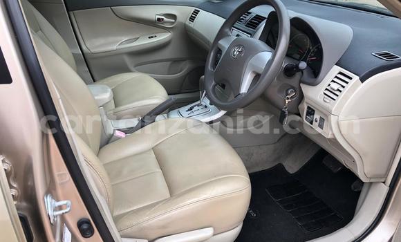 Buy Import Toyota Axio Beige Car in Dar es Salaam in Dar es Salaam Buy Import Toyota Axio Beige Car in Dar es Salaam in Dar es Salaam