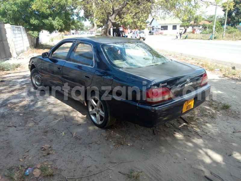 Big with watermark 44322736 2182447932005708 580153157162631168 n