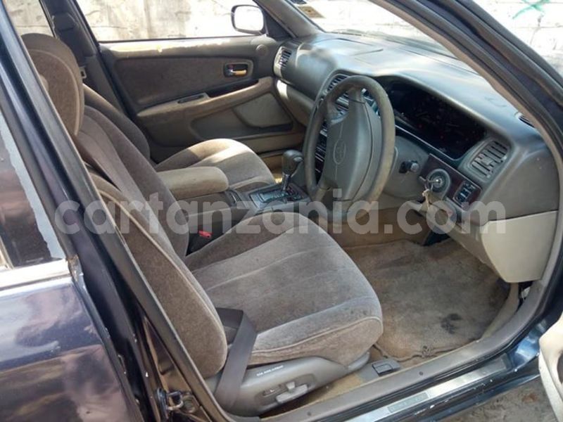 Big with watermark 44345700 2182448048672363 6609789518461534208 n