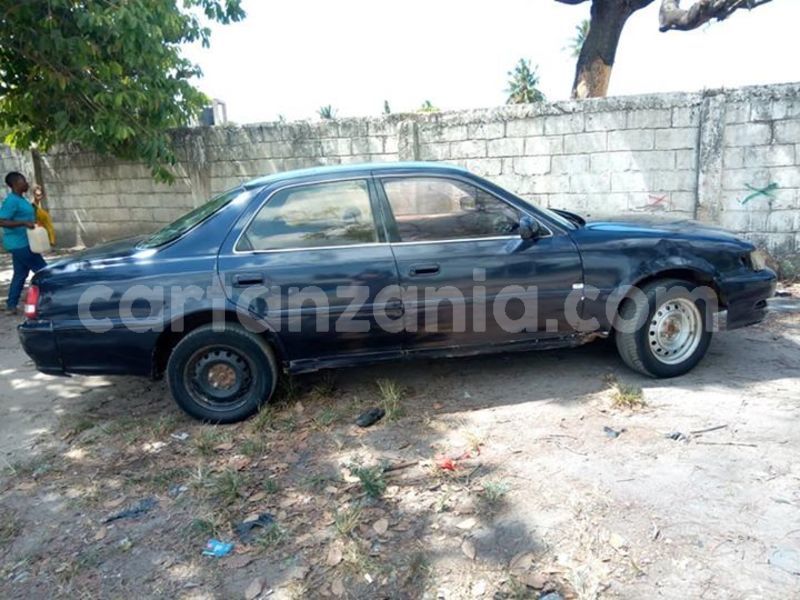 Big with watermark 44433168 2182448025339032 1570609427784925184 n