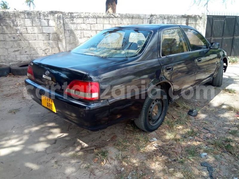 Big with watermark 44282943 2182447988672369 3564108409345146880 n