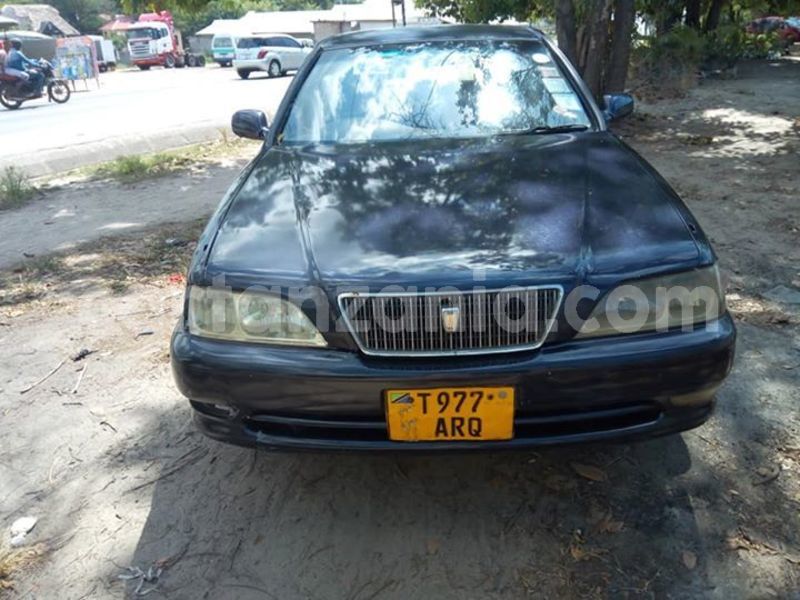 Big with watermark 44346270 2182447858672382 2078871700065222656 n