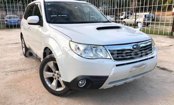 Buy Import Subaru Forester White Car in Dar es Salaam in Dar es Salaam