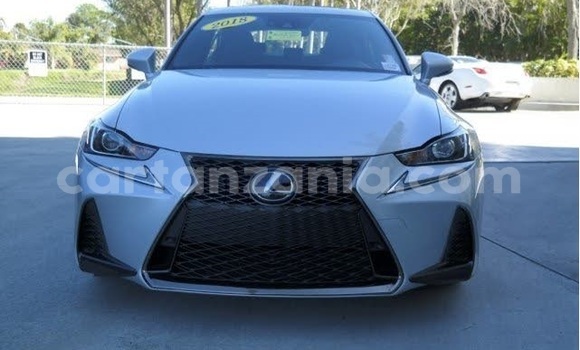 Buy Used Lexus IS Silver Car in Arusha in Arusha