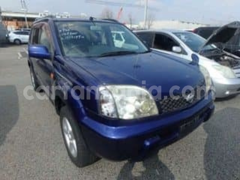 Big with watermark 44305347 337368860158632 1687181604771856384 n