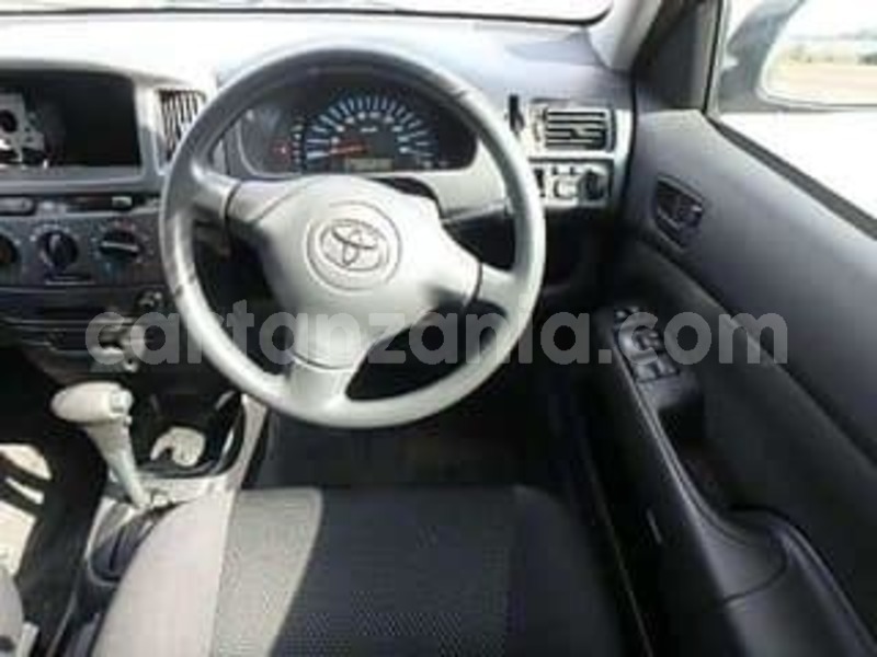 Big with watermark 44460838 337368840158634 3100995116748242944 n