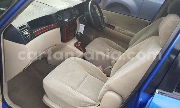 Nunua Ilio tumika Toyota Spacio Bluu Gari ndani ya Tanga nchini Tanga Nunua Ilio tumika Toyota Spacio Bluu Gari ndani ya Tanga nchini Tanga