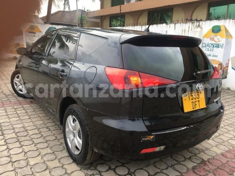 Big with watermark 43573296 1149814035181351 7654671361255669760 n