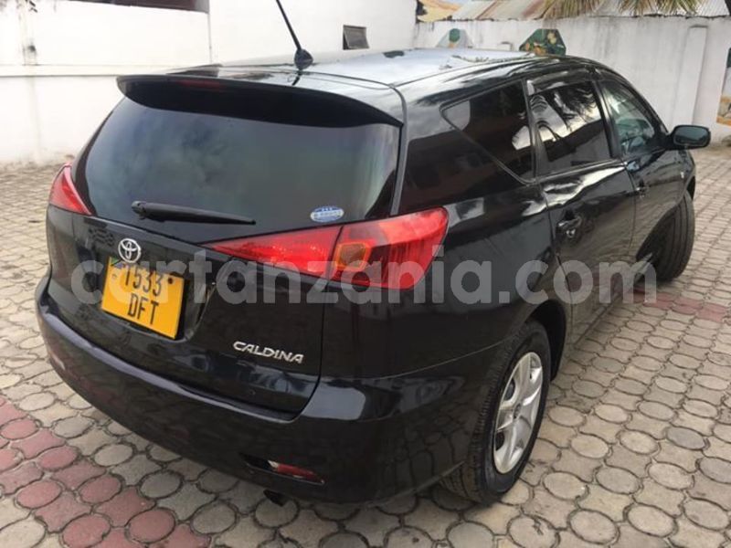 Big with watermark 44795373 1149813968514691 9124330889872932864 n