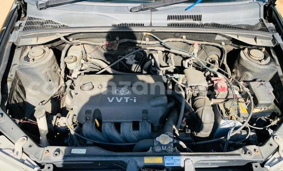 Nunua Ilio tumika Toyota Probox Nyeusi Gari ndani ya Dar es Salaam nchini Dar es Salaam Nunua Ilio tumika Toyota Probox Nyeusi Gari ndani ya Dar es Salaam nchini Dar es Salaam