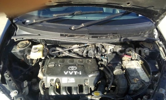 Nunua Ilio tumika Toyota IST Bluu Gari ndani ya Dar es Salaam nchini Dar es Salaam Nunua Ilio tumika Toyota IST Bluu Gari ndani ya Dar es Salaam nchini Dar es Salaam