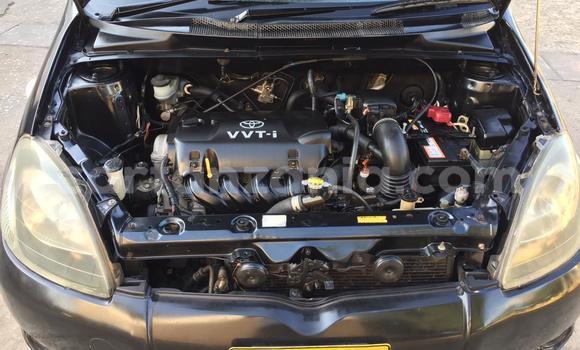 Nunua Ilio tumika Toyota Vitz Nyeusi Gari ndani ya Dar es Salaam nchini Dar es Salaam Nunua Ilio tumika Toyota Vitz Nyeusi Gari ndani ya Dar es Salaam nchini Dar es Salaam